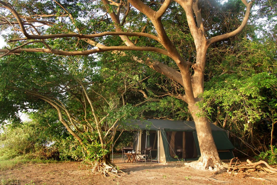 Premium Tent, 4 Bedrooms | Exterior