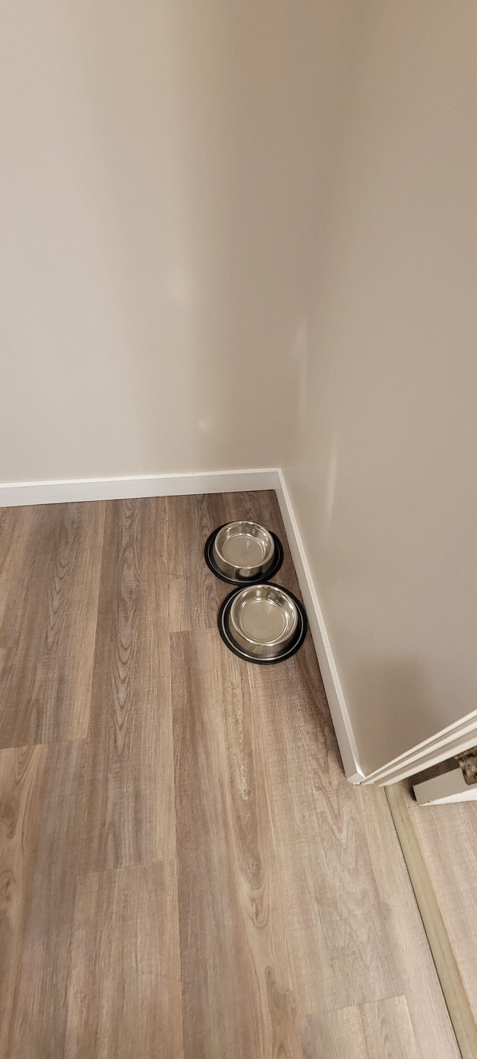 Standard Room, 2 Queens with Kitchenette (Pet Friendly) | Living area | 40-inch TV with cable channels