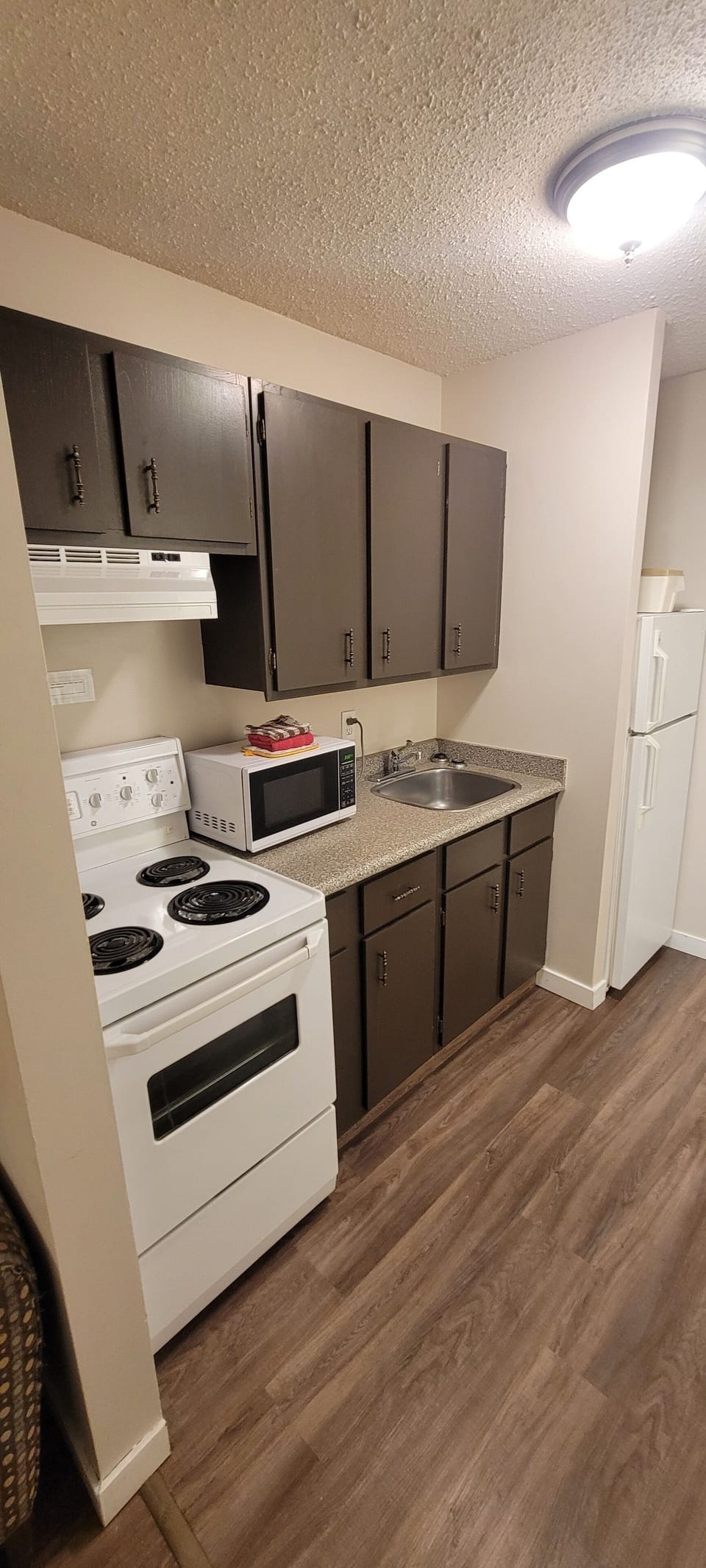 Standard Room, 2 Queens with Kitchenette (Pet Friendly) | Private kitchen | Coffee/tea maker, microwave, cleaning supplies, paper towels