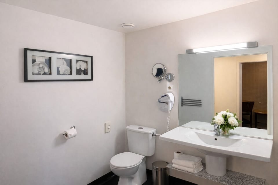 Superior Room, 1 King Bed | Bathroom | Hair dryer, towels, soap, shampoo
