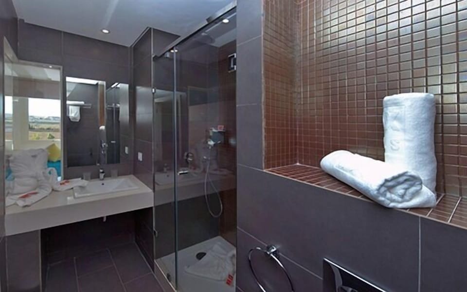 Shower, free toiletries, hair dryer (on request), towels