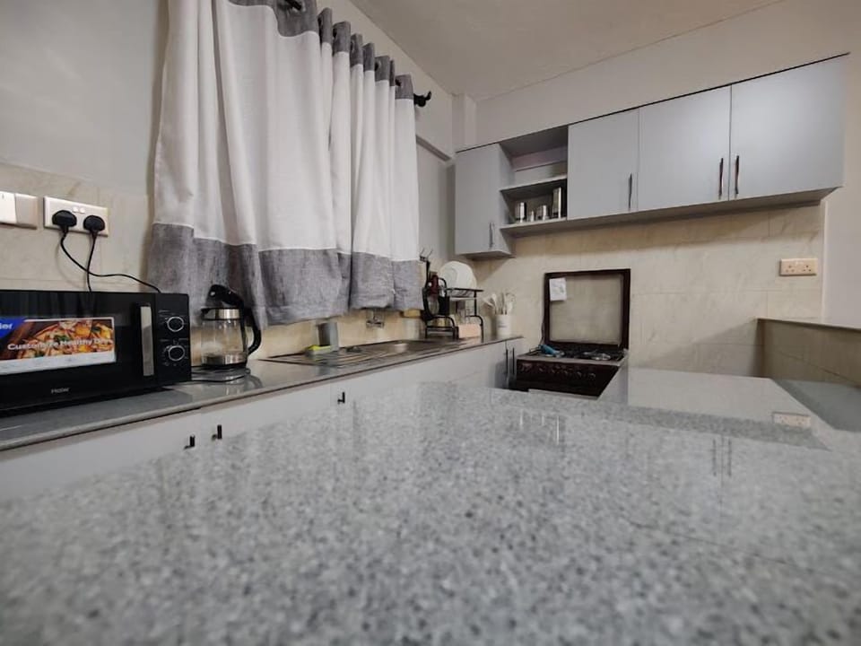 Classic Apartment, City View | Private kitchen | Fridge, microwave, cookware/dishes/utensils