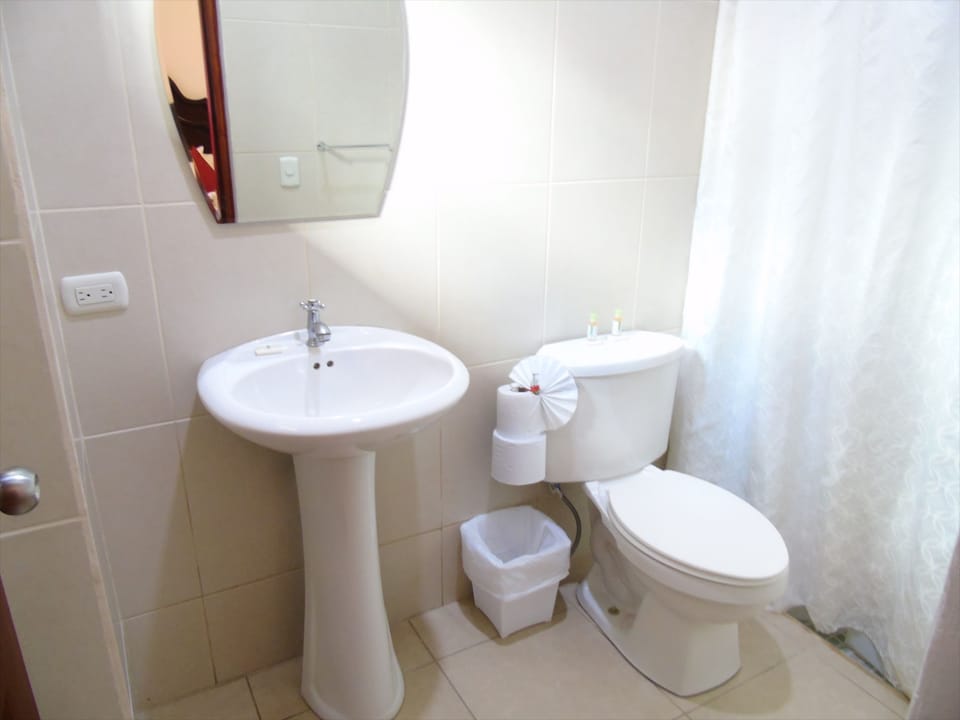 Standard Double Room | Bathroom | Shower, free toiletries, towels