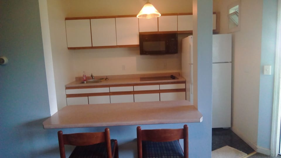 Suite Cabin | Private kitchen | Fridge, microwave, stovetop, coffee/tea maker