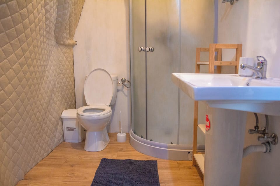 Shower, free toiletries, hair dryer, towels