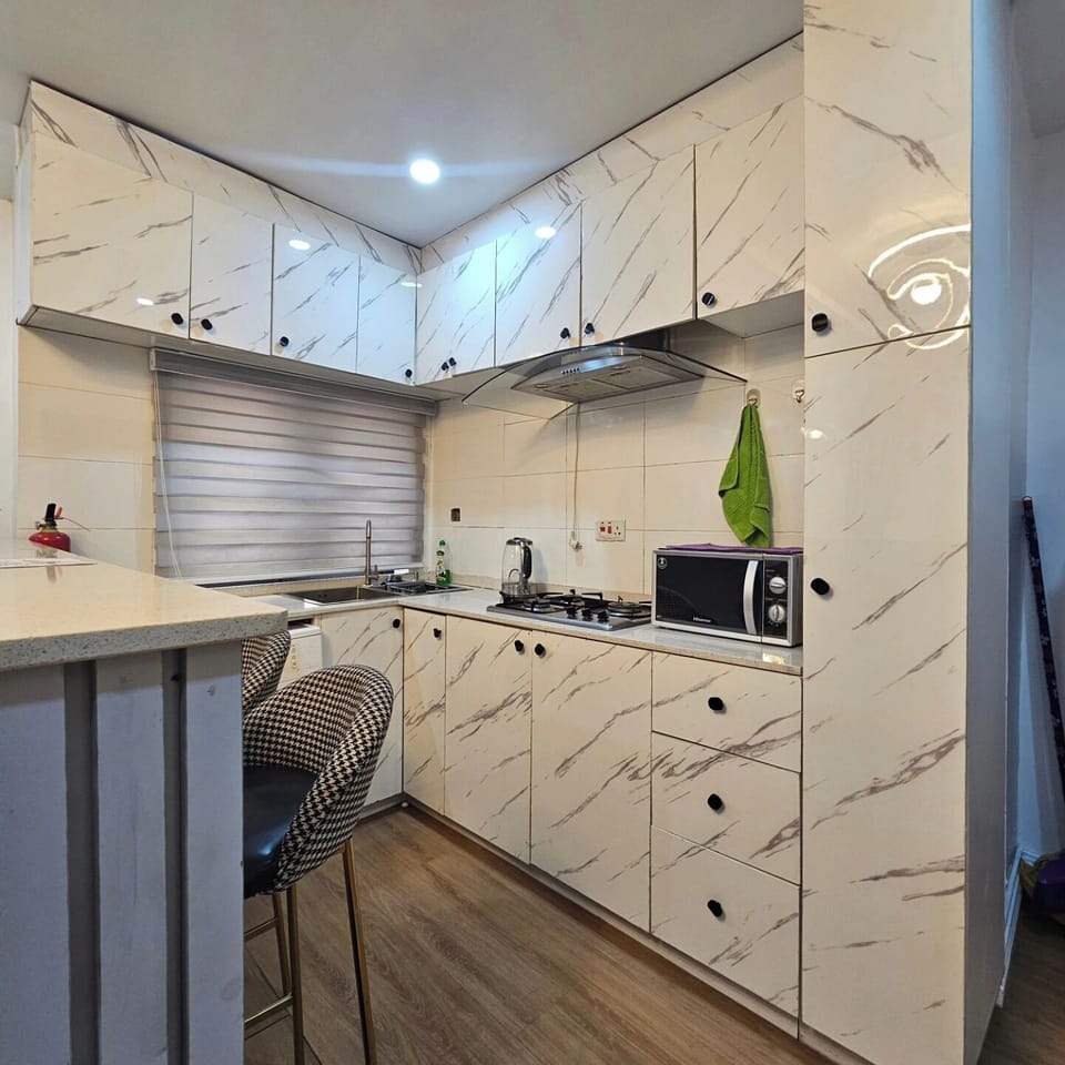 Economy Apartment, Balcony, City View | Private kitchenette | Fridge, microwave, oven, stovetop