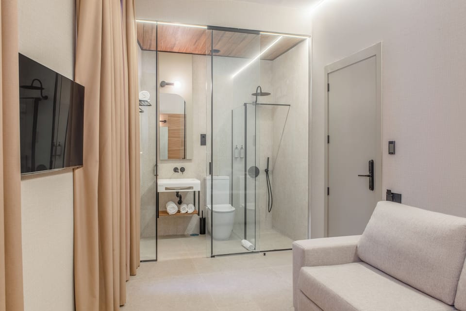 Family Quadruple Room, 1 Queen Bed with Sofa bed | Bathroom | Hair dryer, towels, soap, shampoo