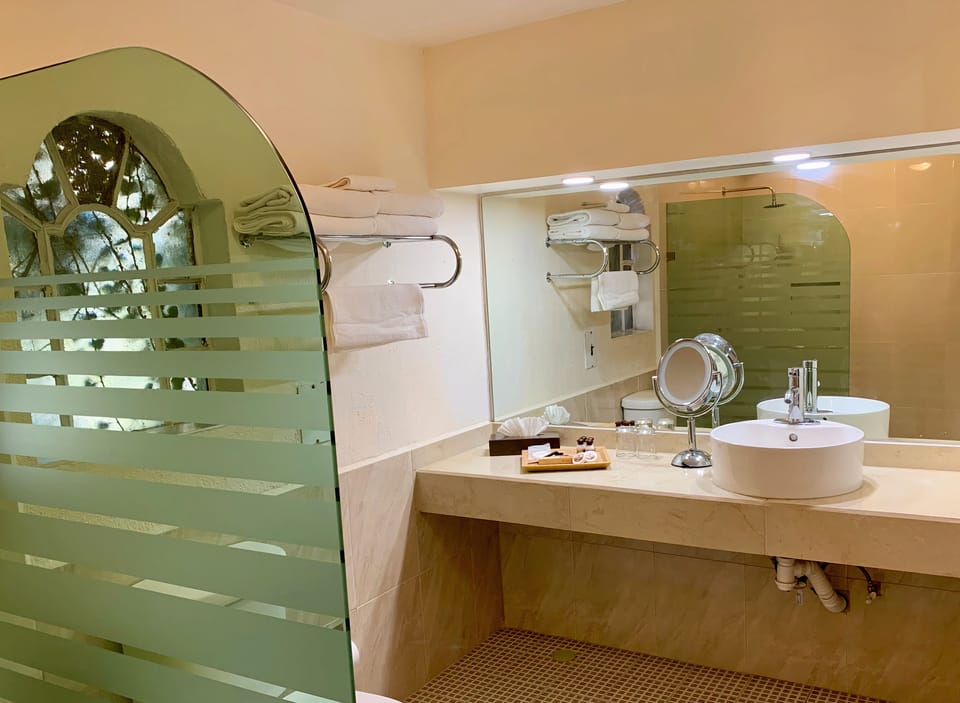 Deluxe Suite | Bathroom | Shower, designer toiletries, hair dryer, towels