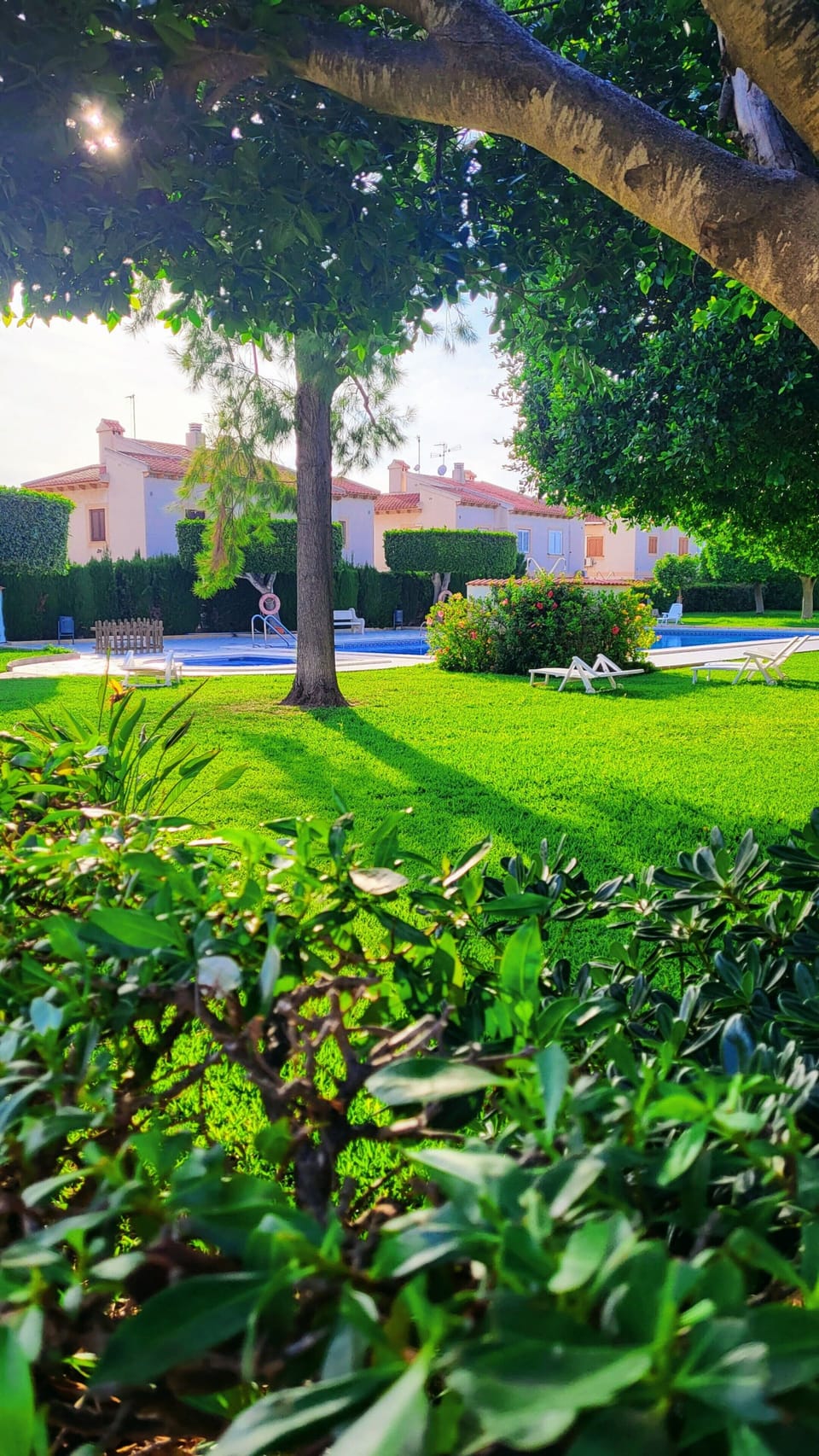 Apartment | Garden