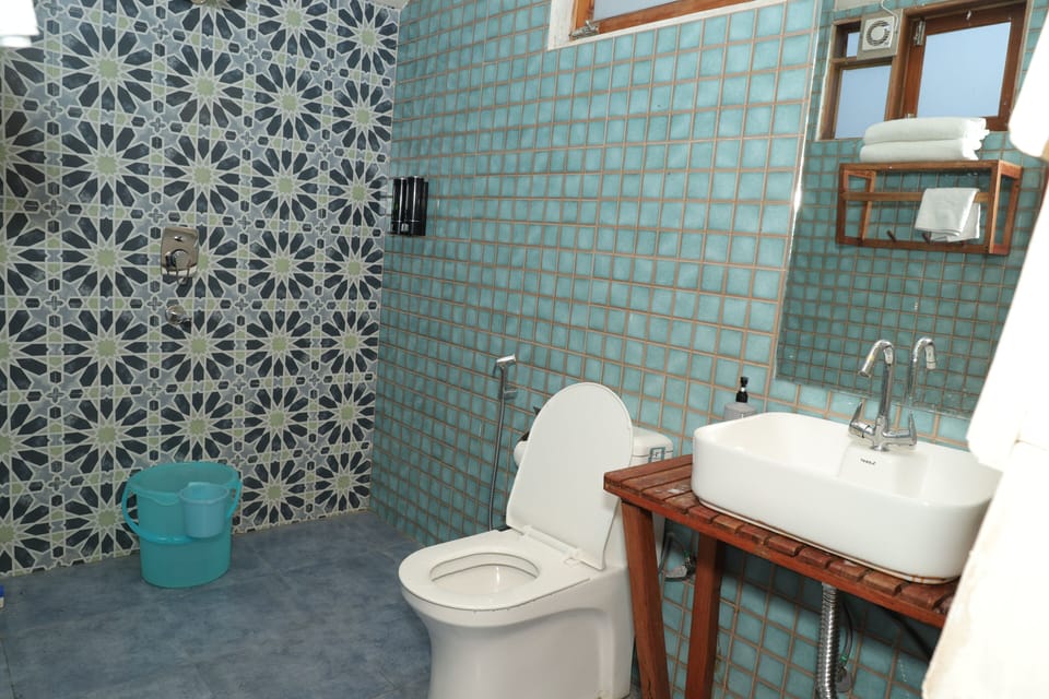 Shower, free toiletries, bidet, towels