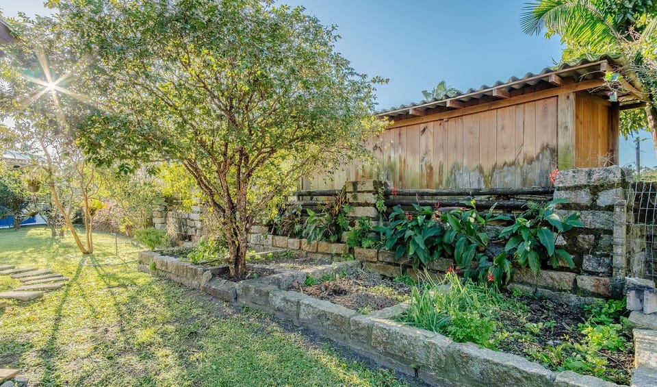 Basic Villa | Property grounds