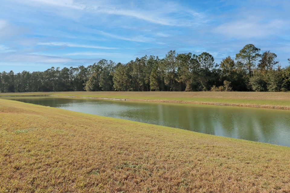 Lake view