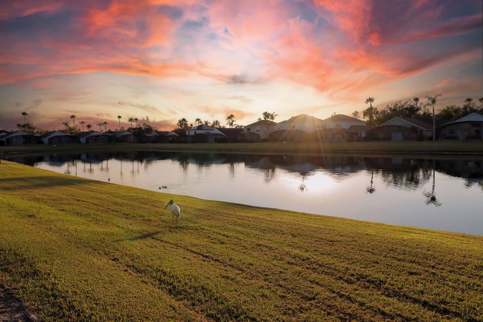 Lake view