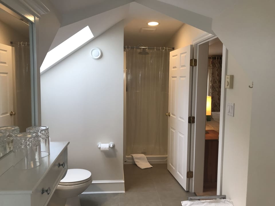 Premium Suite, 1 King Bed, Microwave | Bathroom | Free toiletries, hair dryer, towels, soap