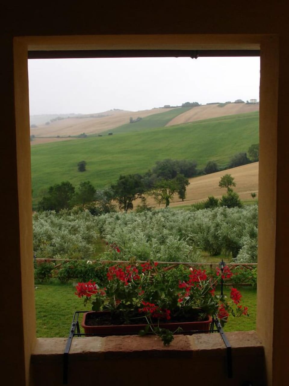View from property
