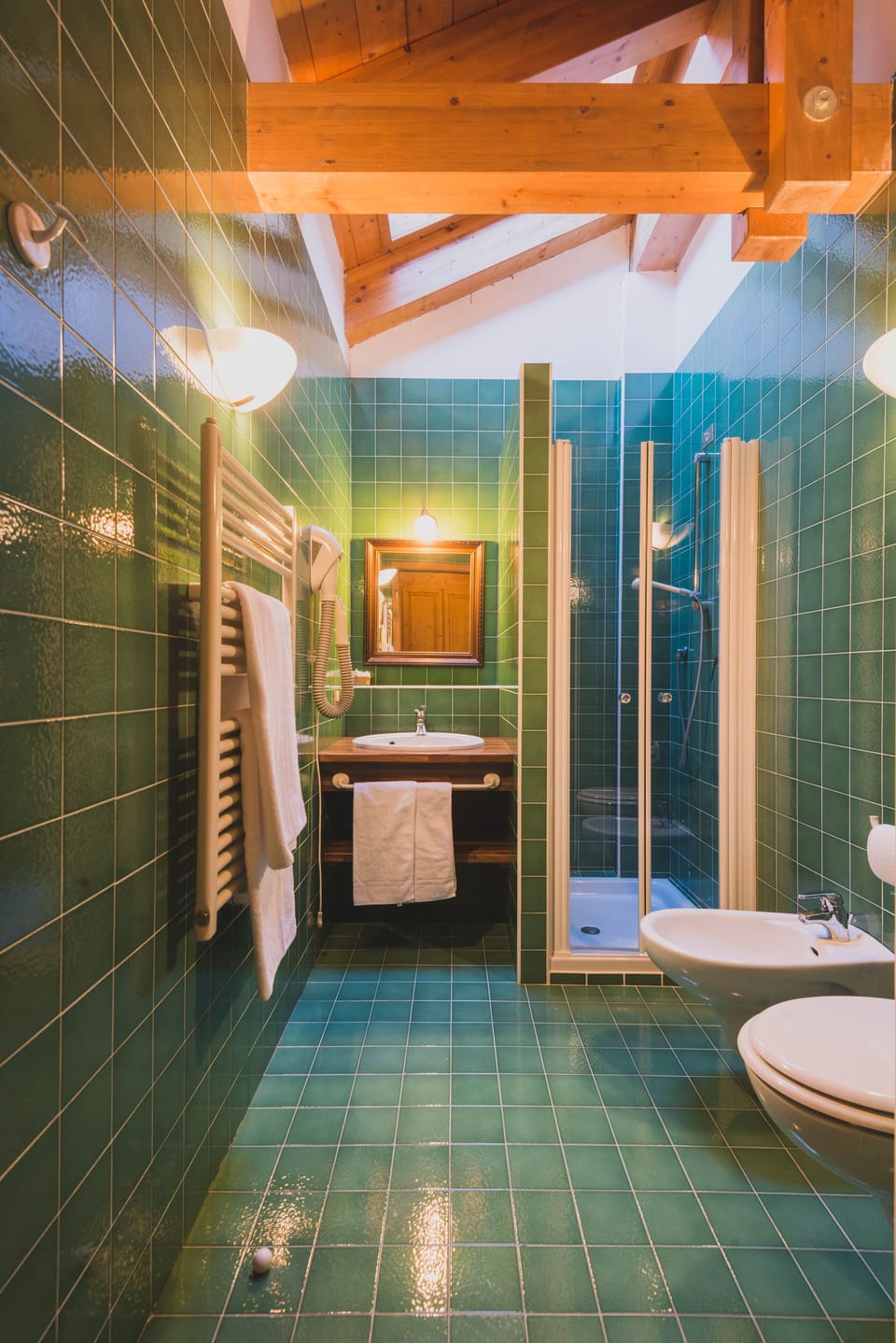 Free toiletries, hair dryer, bidet, towels