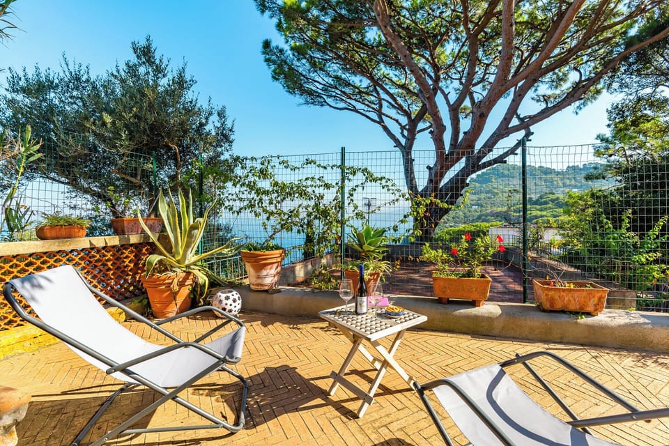 Villa (3 Bedrooms) | Terrace/patio