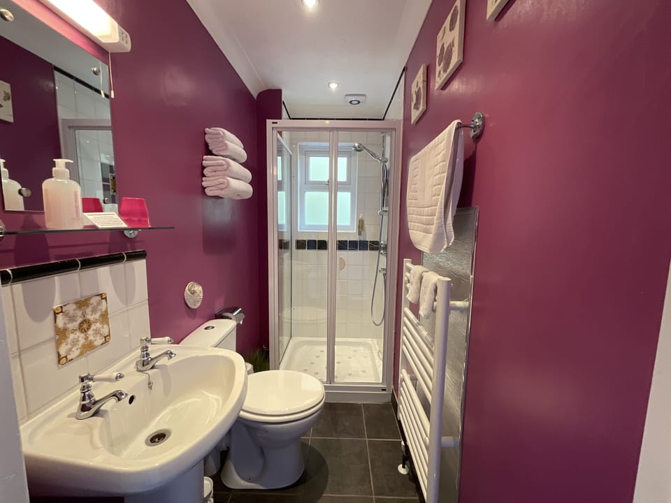 Deluxe Double or Twin Room, Non Smoking | Bathroom shower