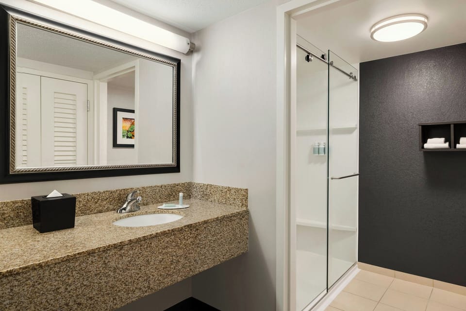 Hair dryer, towels