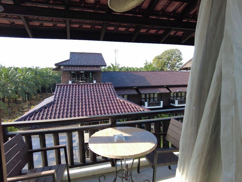 View from room