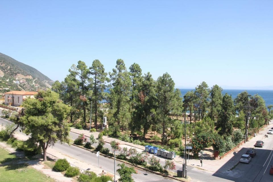 Superior Double or Twin Room | View from room