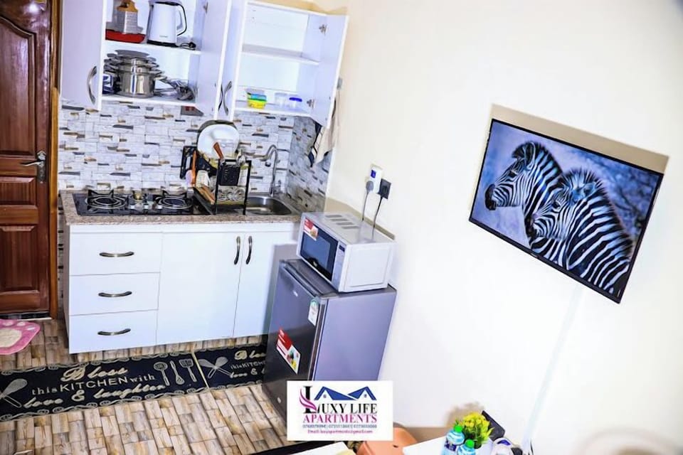 Classic Studio, City View | Private kitchen | Fridge, microwave, cookware/dishes/utensils