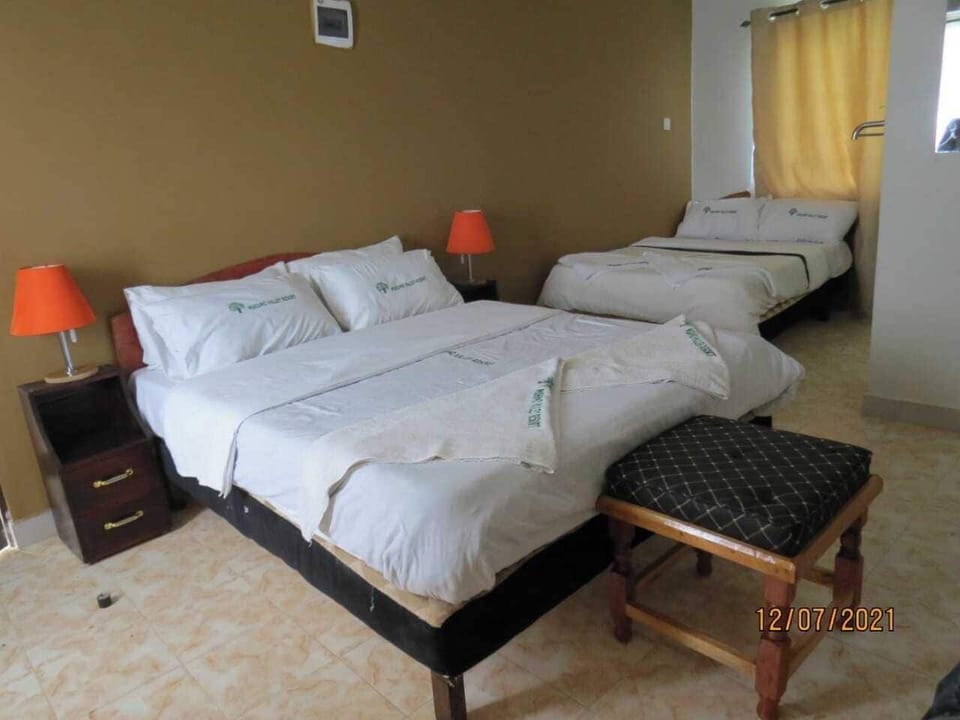 Deluxe Twin Room, Pool View | Free WiFi, bed sheets