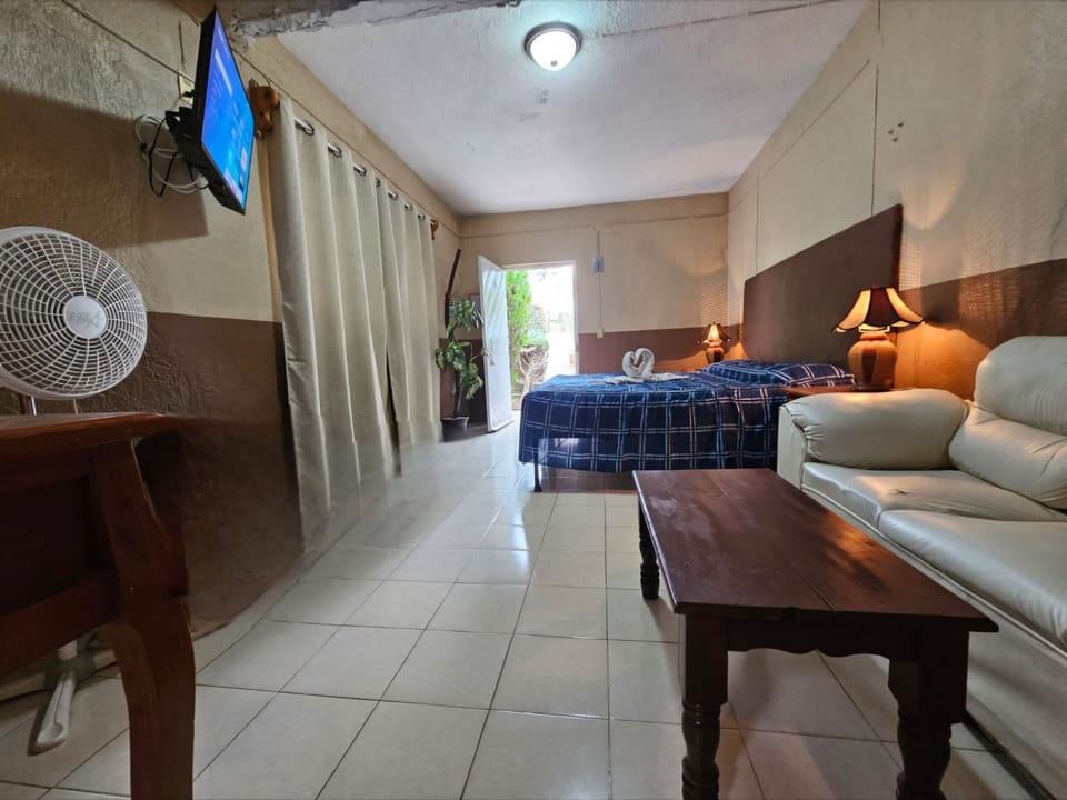 Junior Room | Iron/ironing board (on request), WiFi (free)