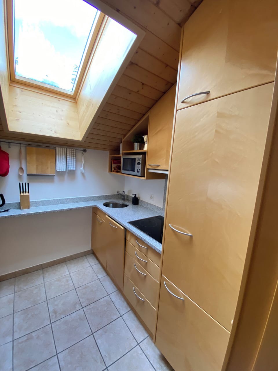 Apartment, Balcony, Mountain View | Private kitchen | Fridge, oven, stovetop, dishwasher