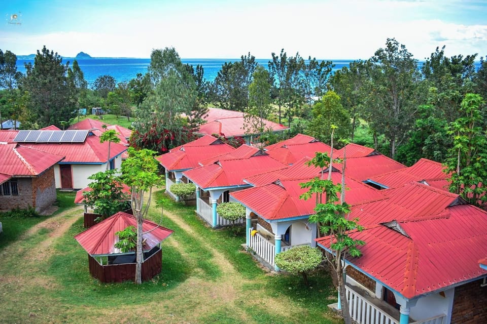 Deluxe Single Room, Sea View | Terrace/patio