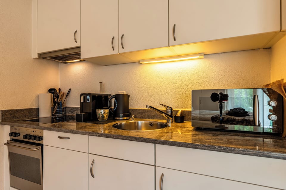 Studio, Mountain View | Private kitchen | Fridge, microwave, oven, stovetop