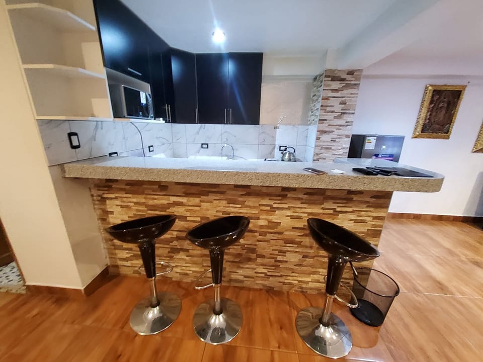 Family Apartment, Multiple Beds, Patio, River View | Private kitchen | Fridge, microwave, oven, stovetop