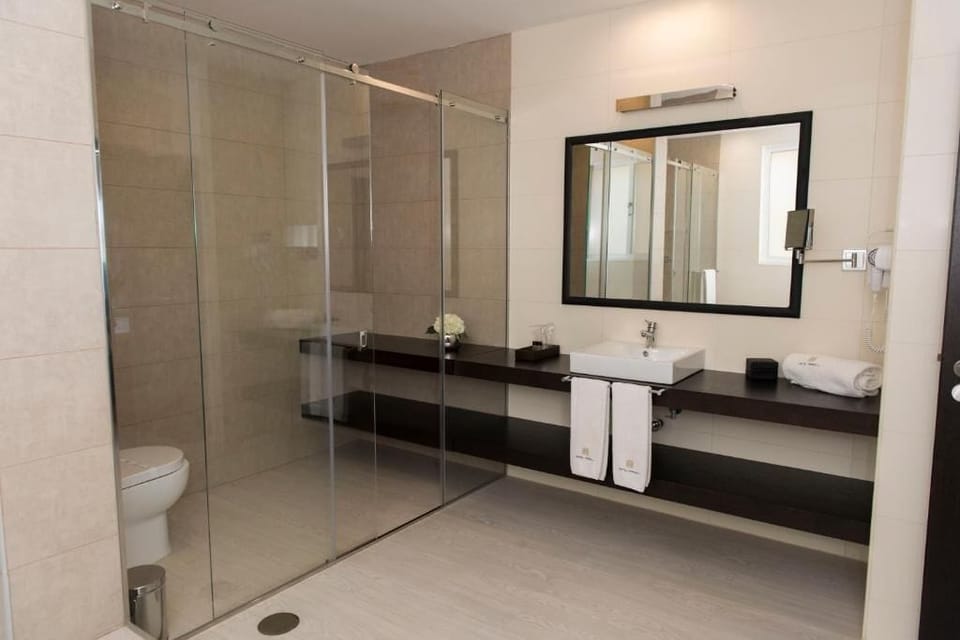 Shower, free toiletries, towels