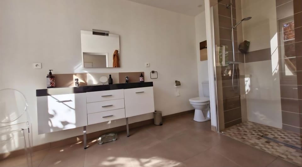 Deluxe Double Room, River View | Bathroom | Shower, free toiletries, hair dryer, towels