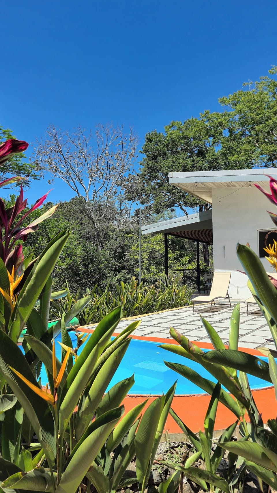 Villa, 1 Bedroom, Accessible, Private Pool | Garden