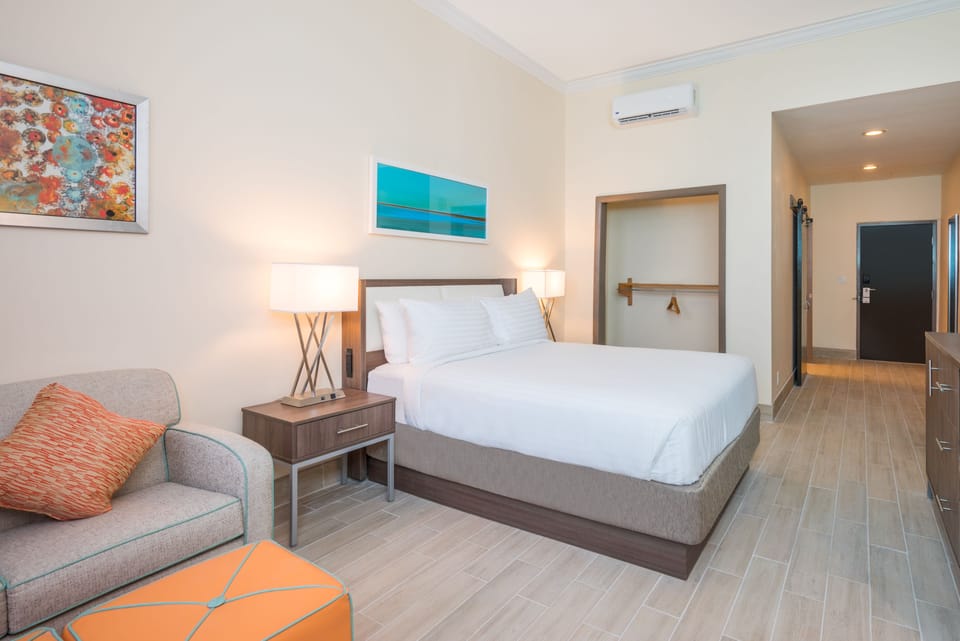 Suite, 1 Queen Bed | In-room safe, desk, laptop workspace, blackout drapes