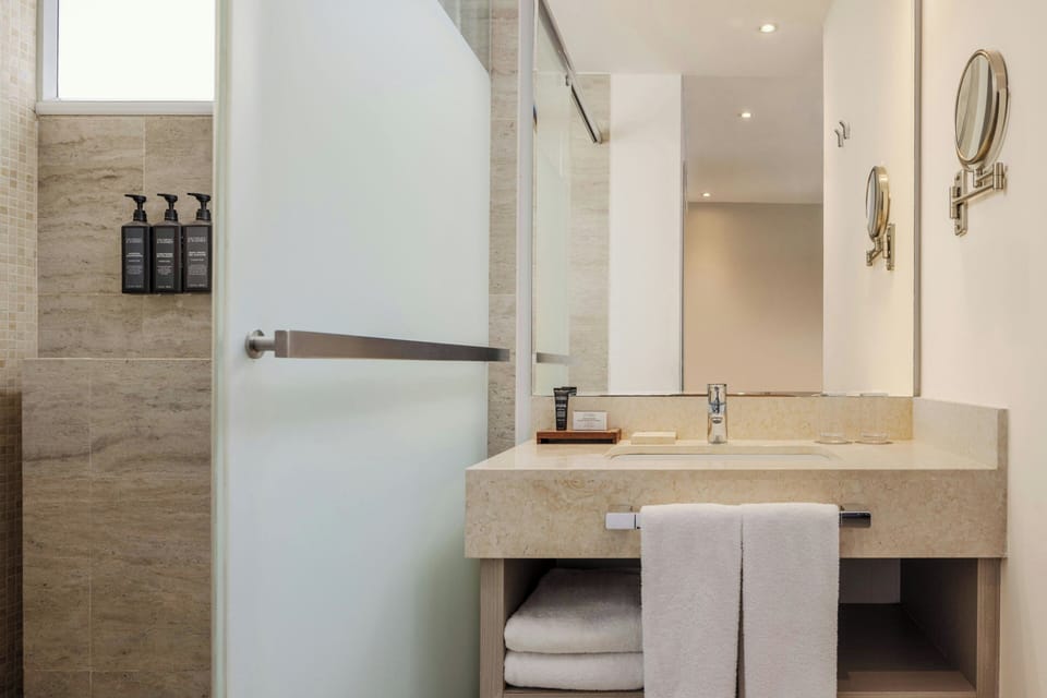 Deluxe Room, 1 Queen Bed | Bathroom | Shower, rainfall showerhead, eco-friendly toiletries, hair dryer