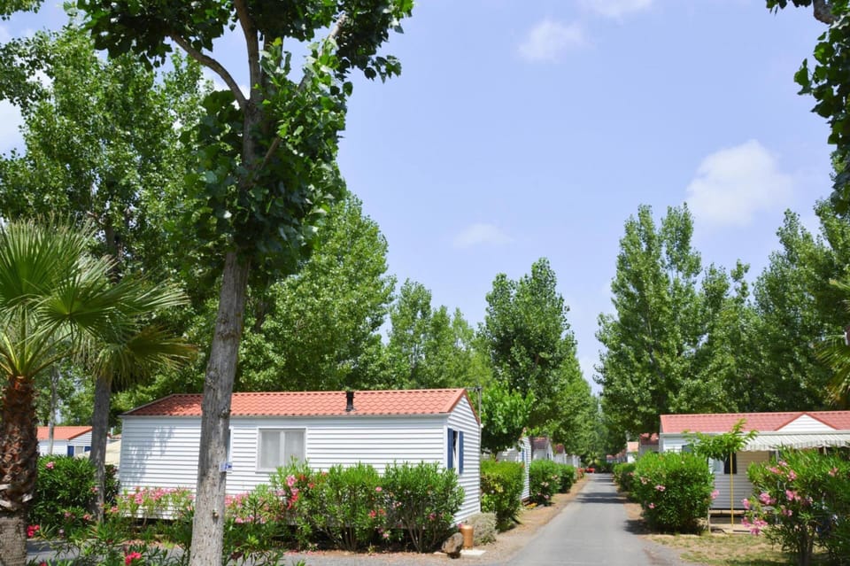 Mobile Home | View from property