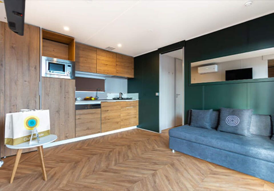 Mobile Home | Living room