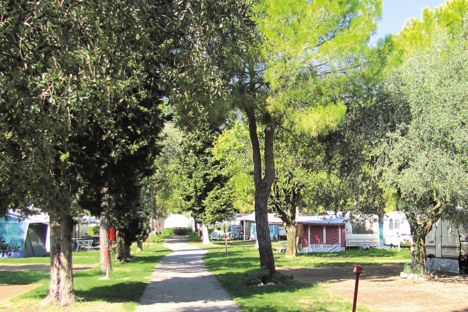 Mobile Home | Garden