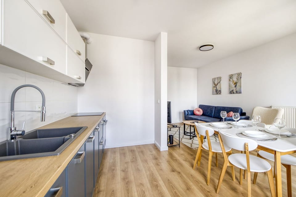 Deluxe Apartment | Private kitchen