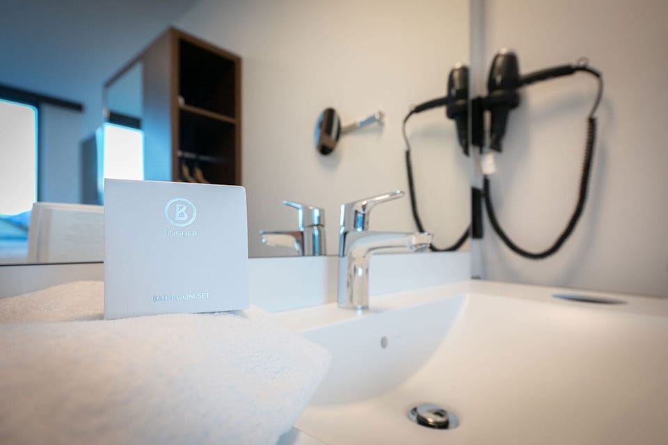 Business Double Room, 1 King Bed, Non Smoking | Bathroom | Free toiletries, hair dryer, towels, soap