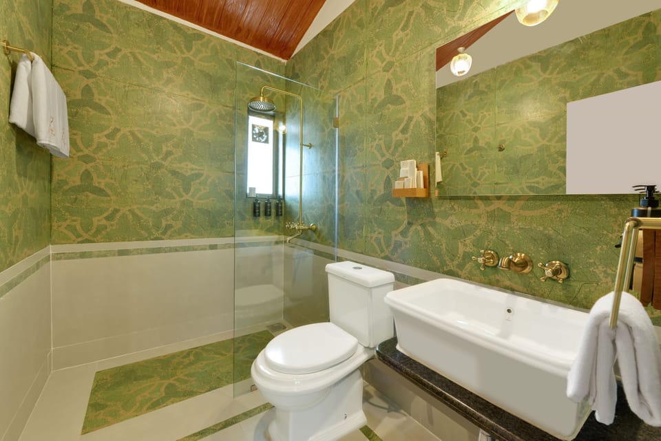 Shower, hair dryer, slippers, soap