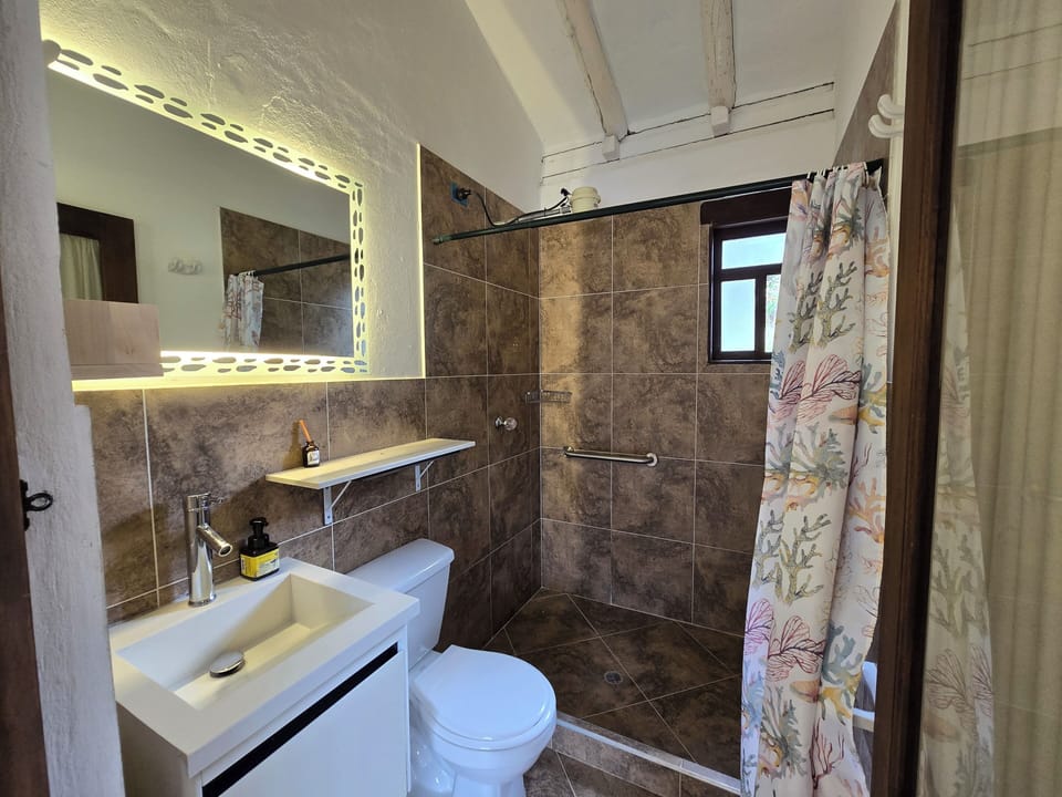 Deluxe Suite | Bathroom | Shower, towels, soap, shampoo