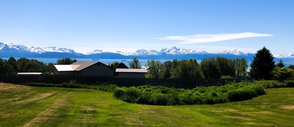 View from property