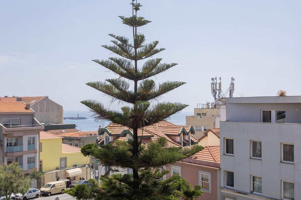 Apartment | 2 bedrooms, Internet