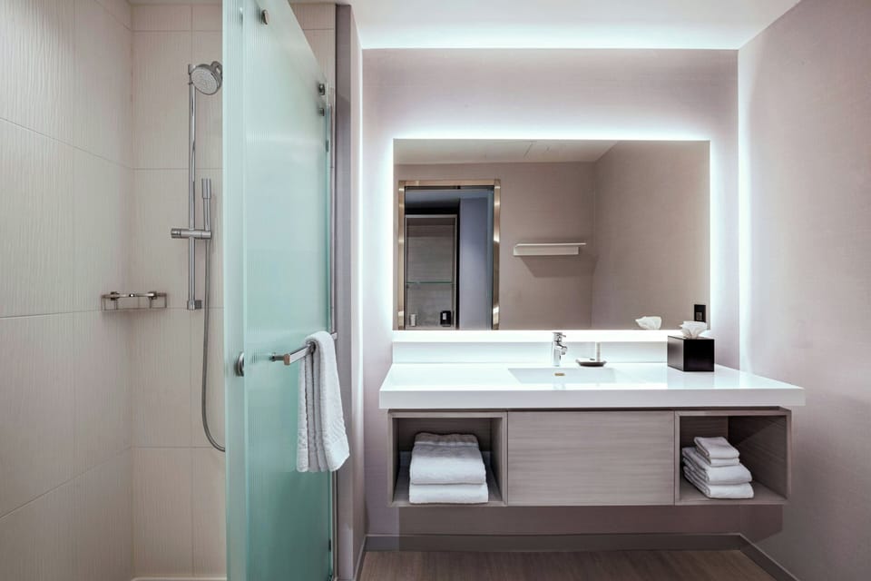 Hair dryer, towels, soap, shampoo