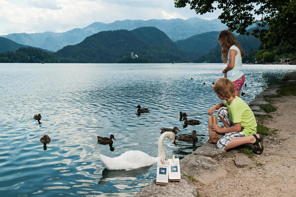 Lake