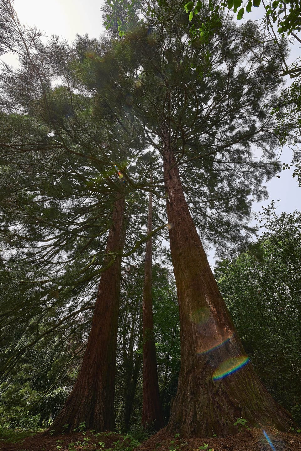 Hiking