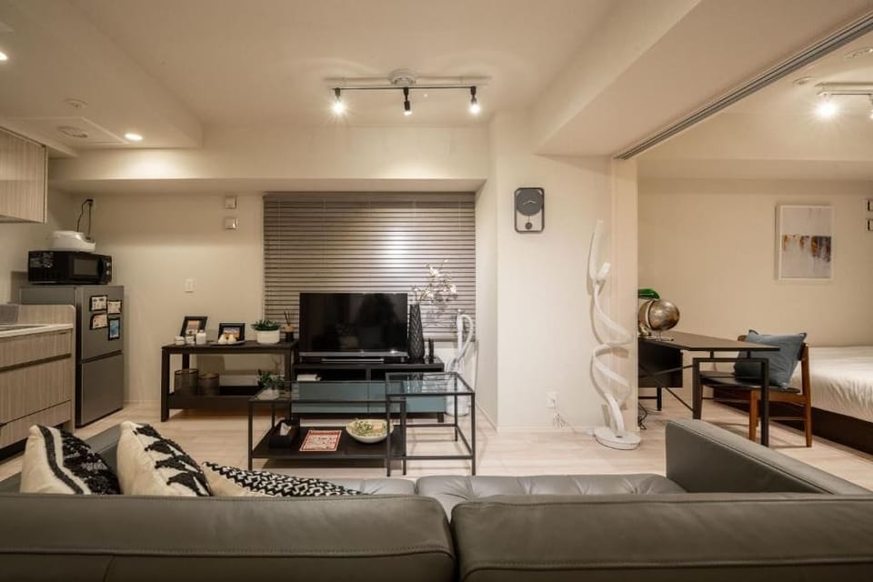 Flat-screen TV